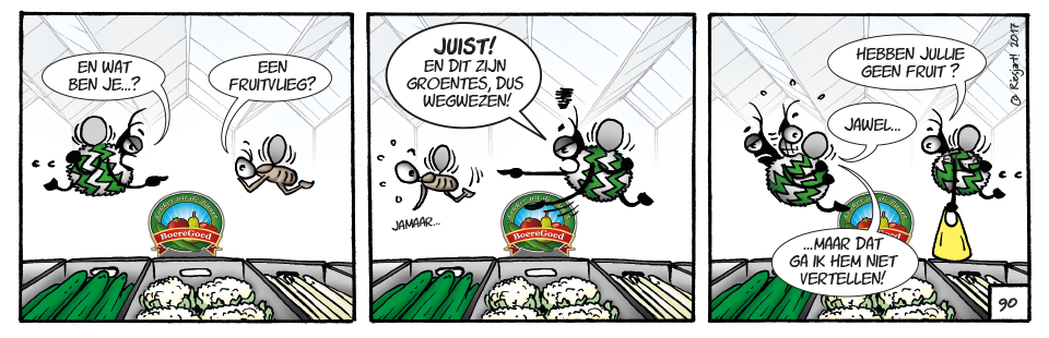 Boeregoed Streekmarkt | Westland, Schipluiden, Naaldwijk