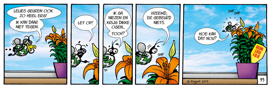 Weterings Potlilium | Westland, Schipluiden, Naaldwijk