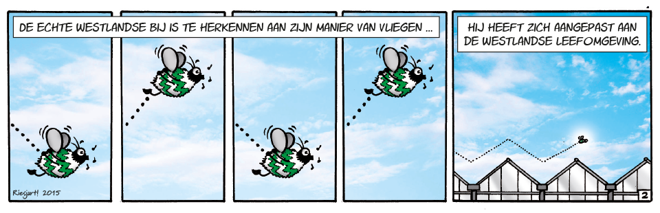 Groot Westland | Ben de Westlandse Bij| Westland, Schipluiden, Naaldwijk