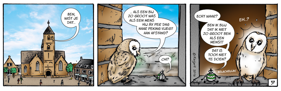 Groot Westland | Ben de Westlandse Bij| Westland, Schipluiden, Naaldwijk