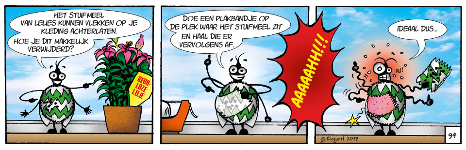 Groot Westland | Ben de Westlandse Bij| Westland, Schipluiden, Naaldwijk