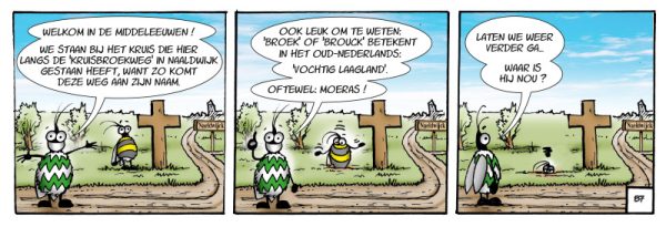 NIEUW!!! Ben de Westlandse Bij in Naaldwijk - Afbeelding 2