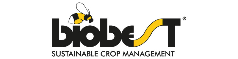 RDR Reclame Westland