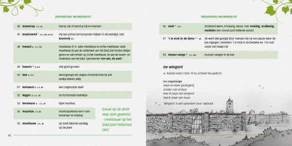 Druiventaal, geschreven door Henk Tetteroo - Afbeelding 3